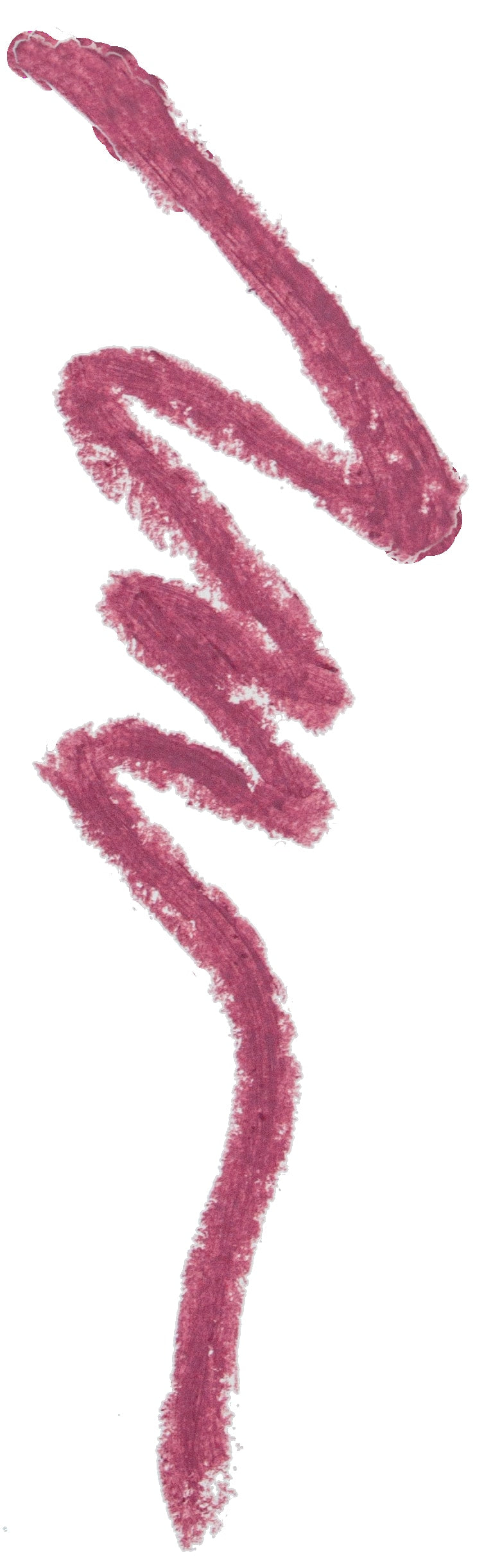Lip Contour -Black Berry 06-