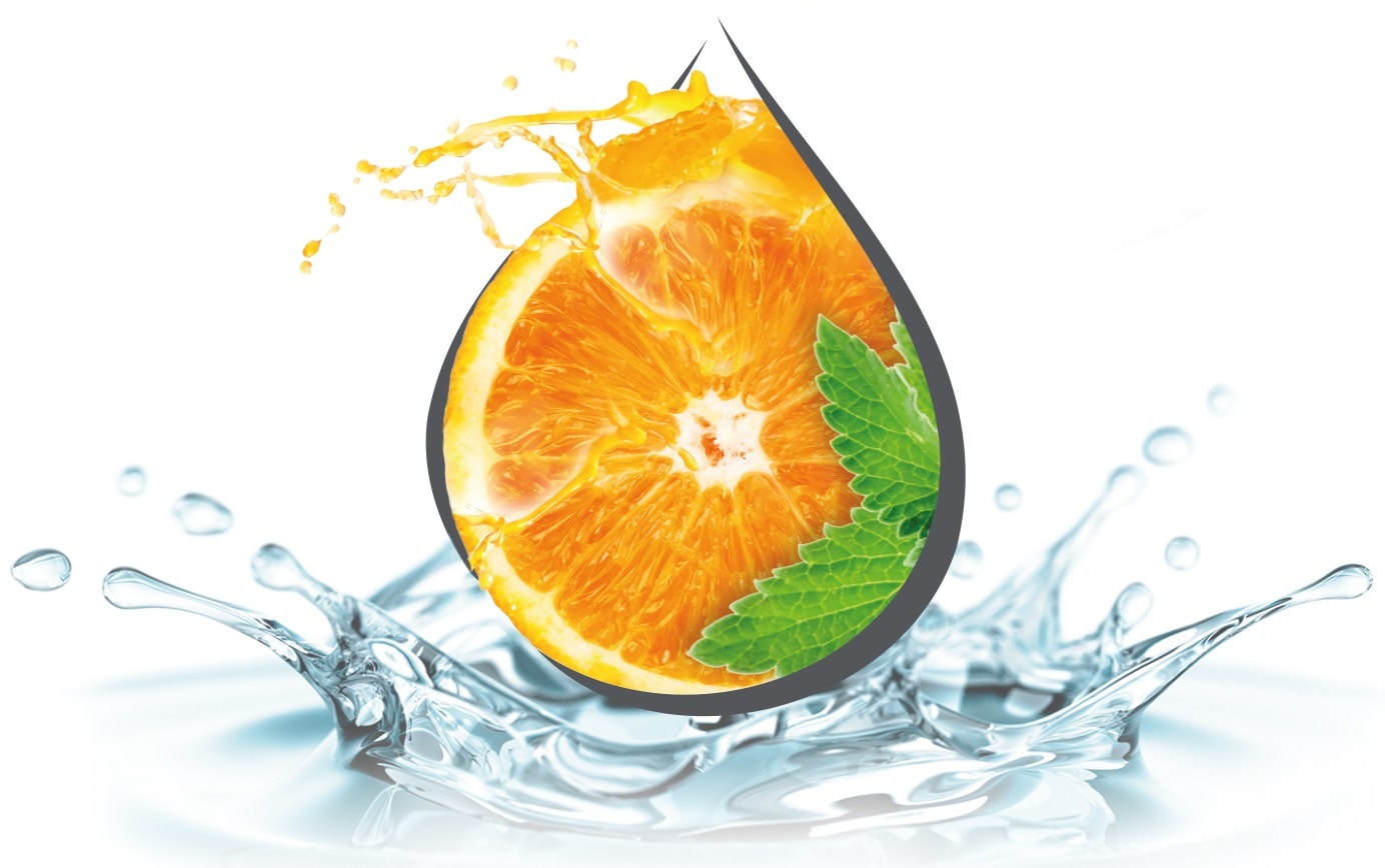 Feste Pflegedusche High Vitality