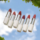 Velvet Matt Lipstick -Auburn Brown 02-