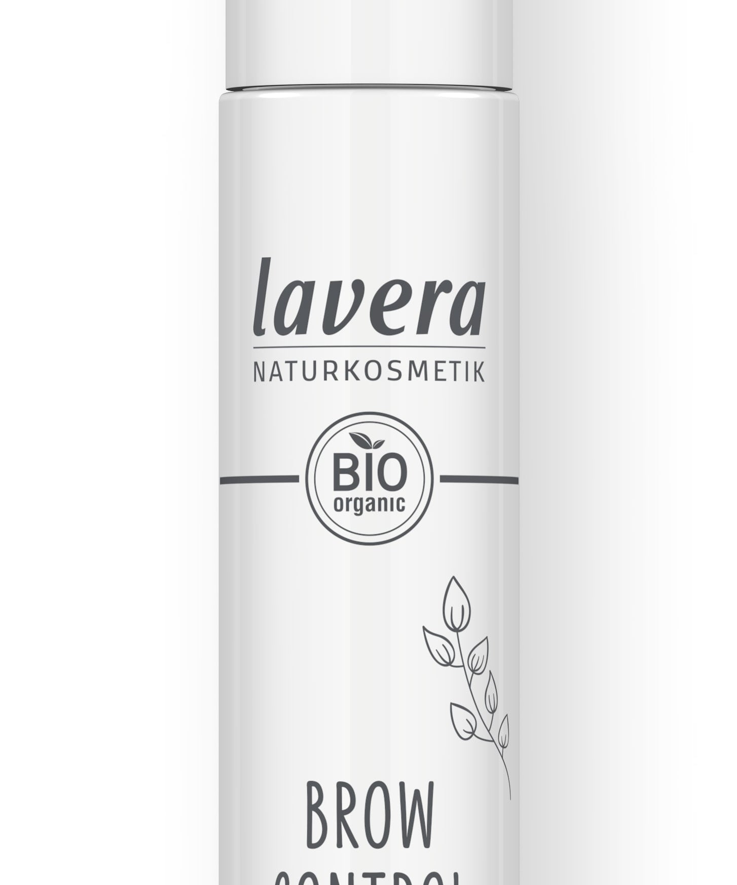 Brow Control -Transparent 01-