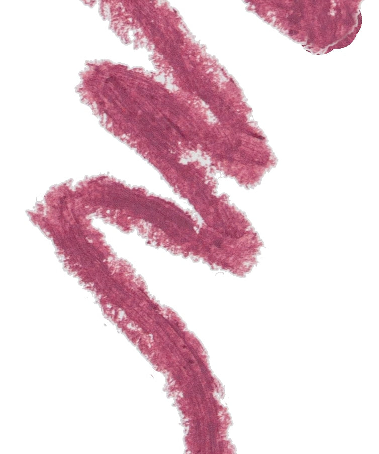 Lip Contour -Black Berry 06-
