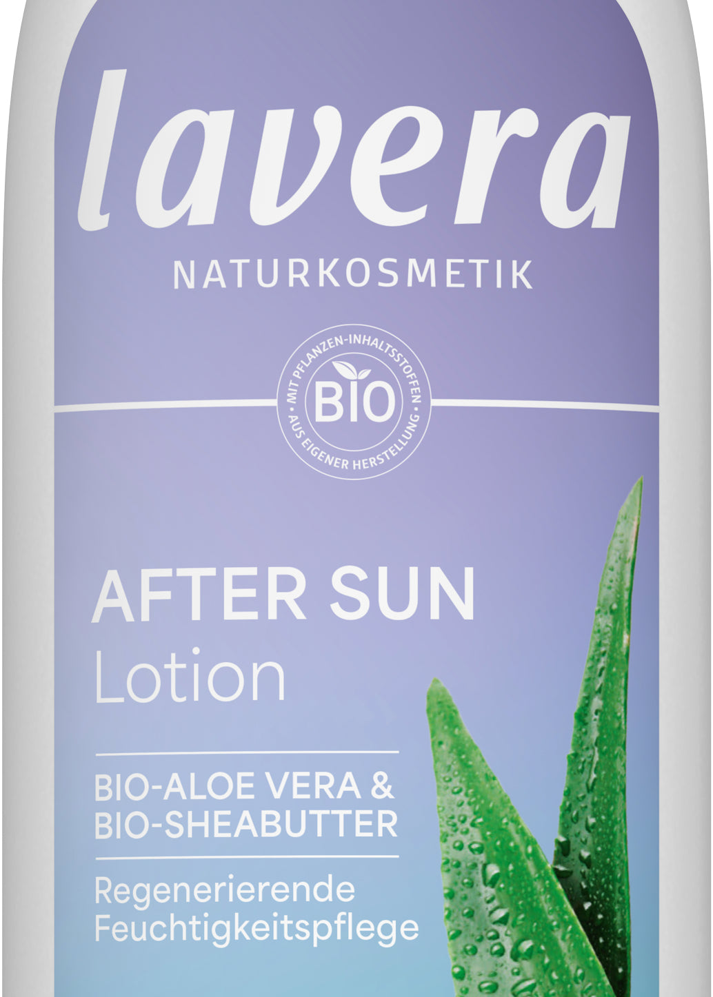 After Sun Lotion