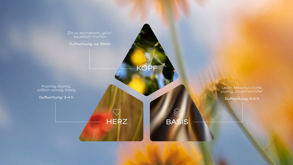 Grafik einer Duftpyramide mit Kopf-, Herz- und Basisnote vor Blumenhintergrund