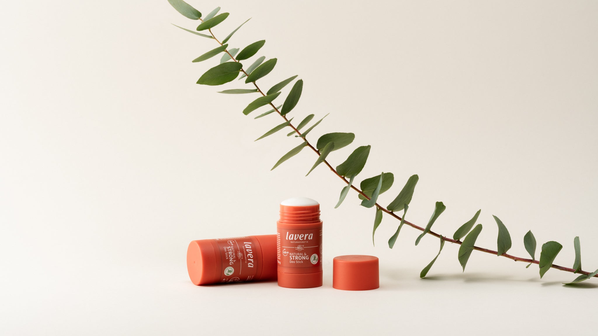 lavera Deo Stick natural & strong unter einem Eukalyptus Zweig