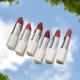 lavera Velvet Matt Lipstick -Auburn Brown 02-