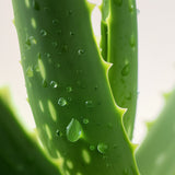 lavera Conditioner basis sensitive Hydrate & Care (AI-generated image)