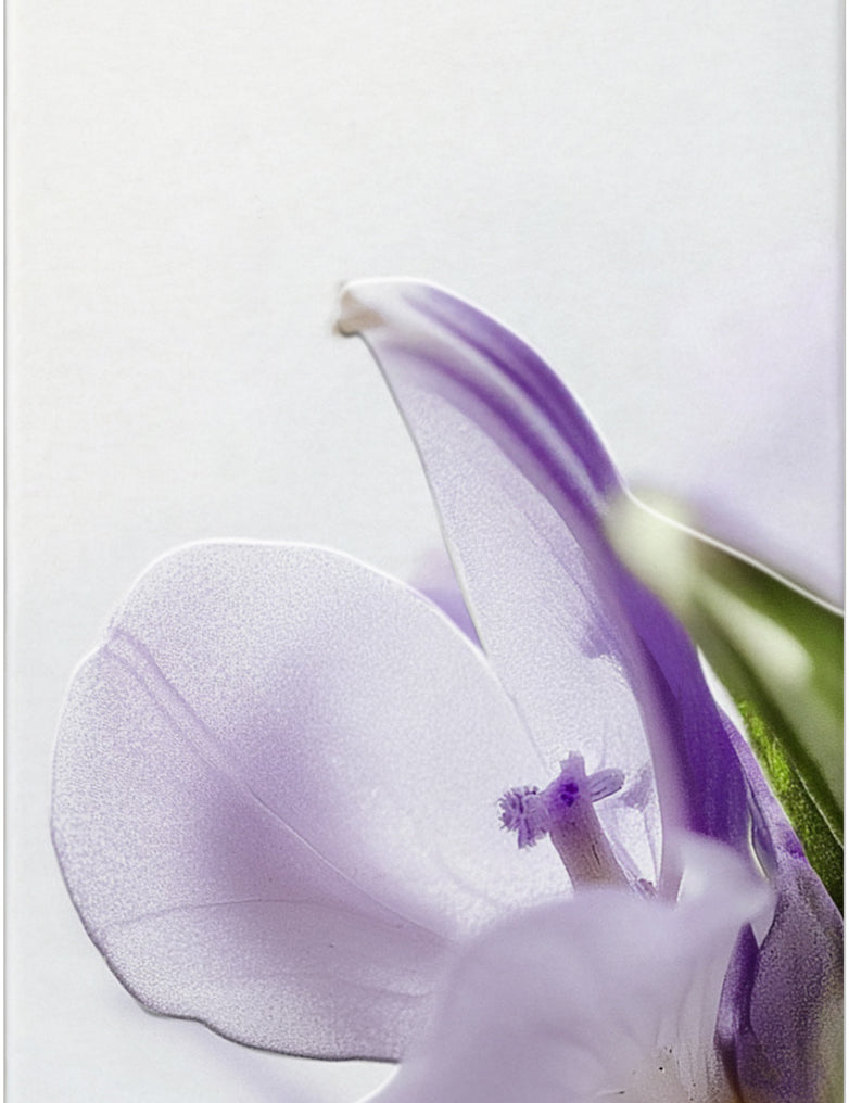 lavera Cellulite 2-Phase Body Serum 