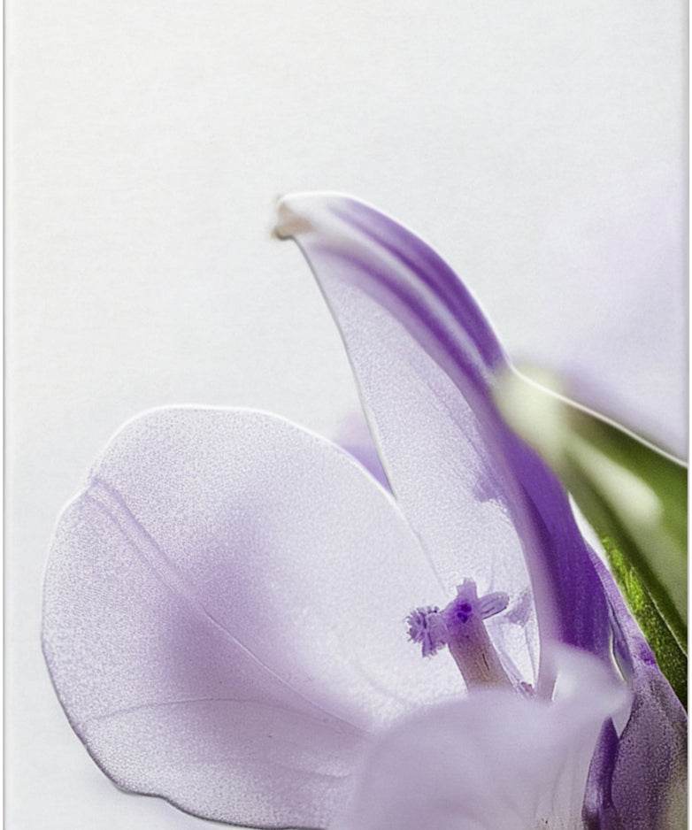 lavera Cellulite 2-Phase Body Serum 