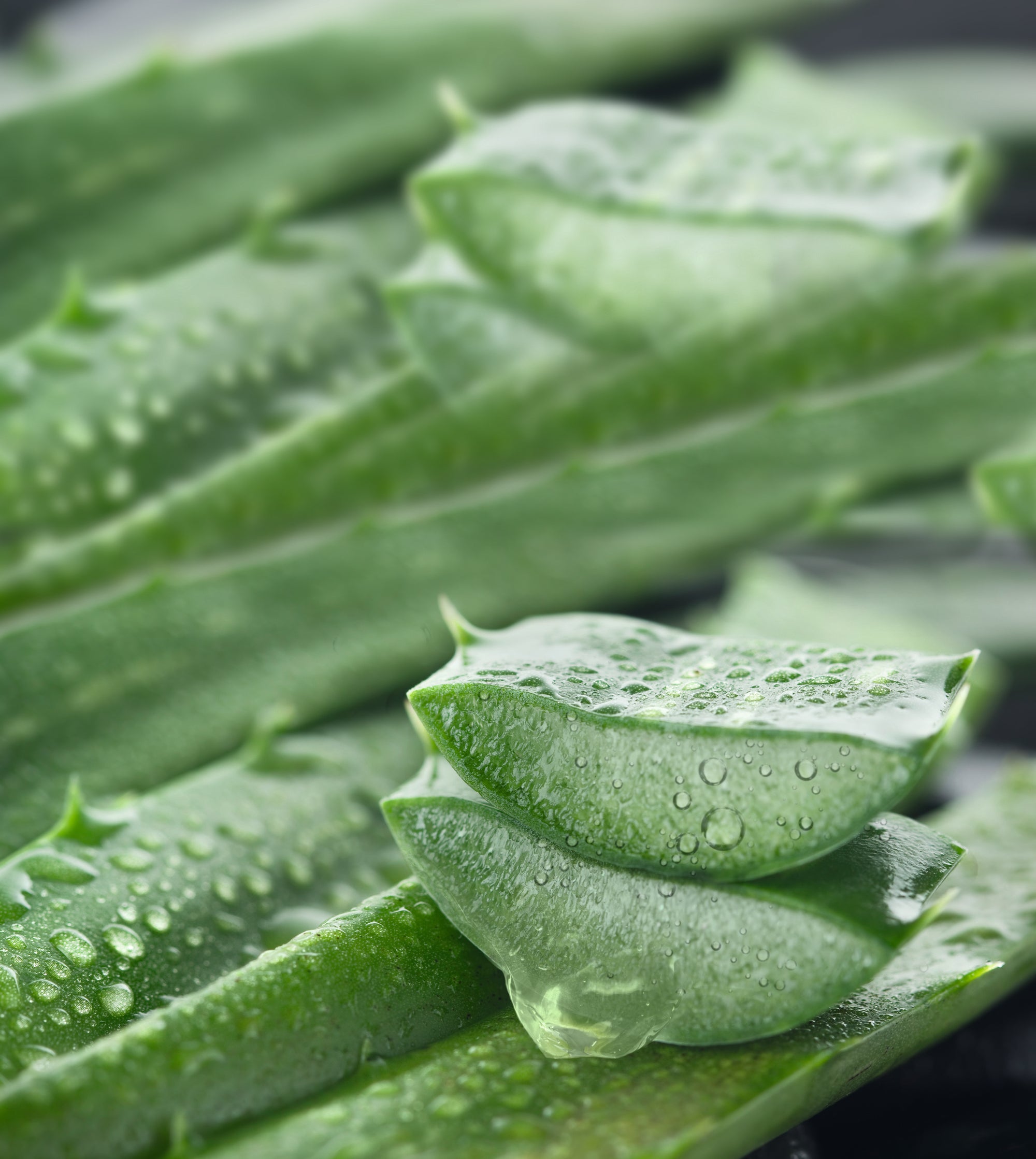 lavera Dezodorant w kremie basis sensitive NATURAL & SENSITIVE