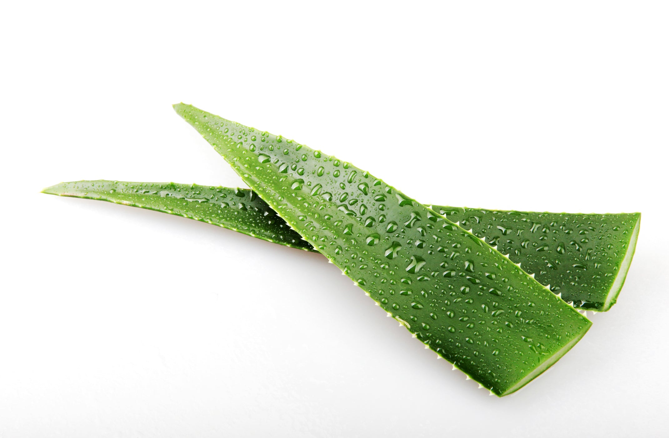 Bio Aloe Vera