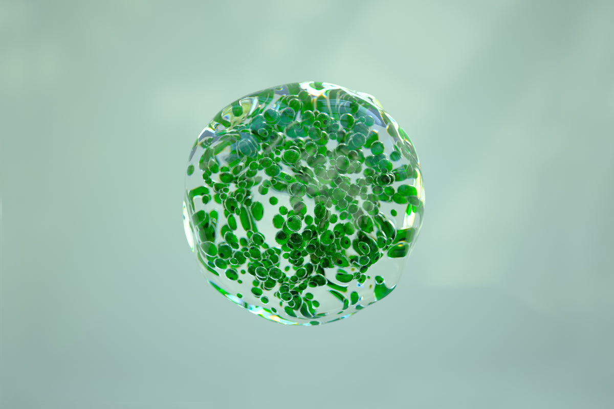 Durchsichtige Bubble mit grünen Punkten im Inneren