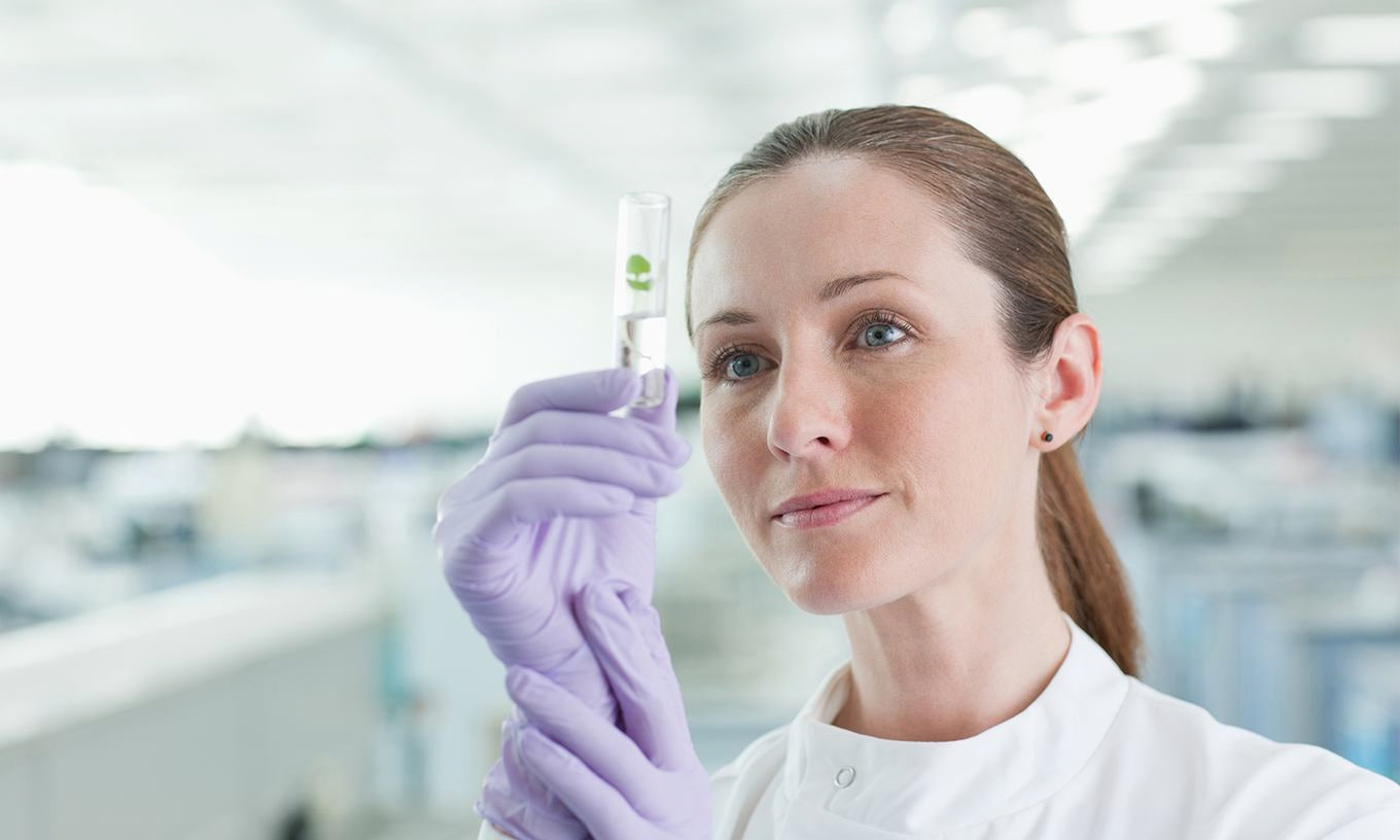 Pomieszczenie laboratoryjne z powierzchniami roboczymi i urządzeniami analitycznymi