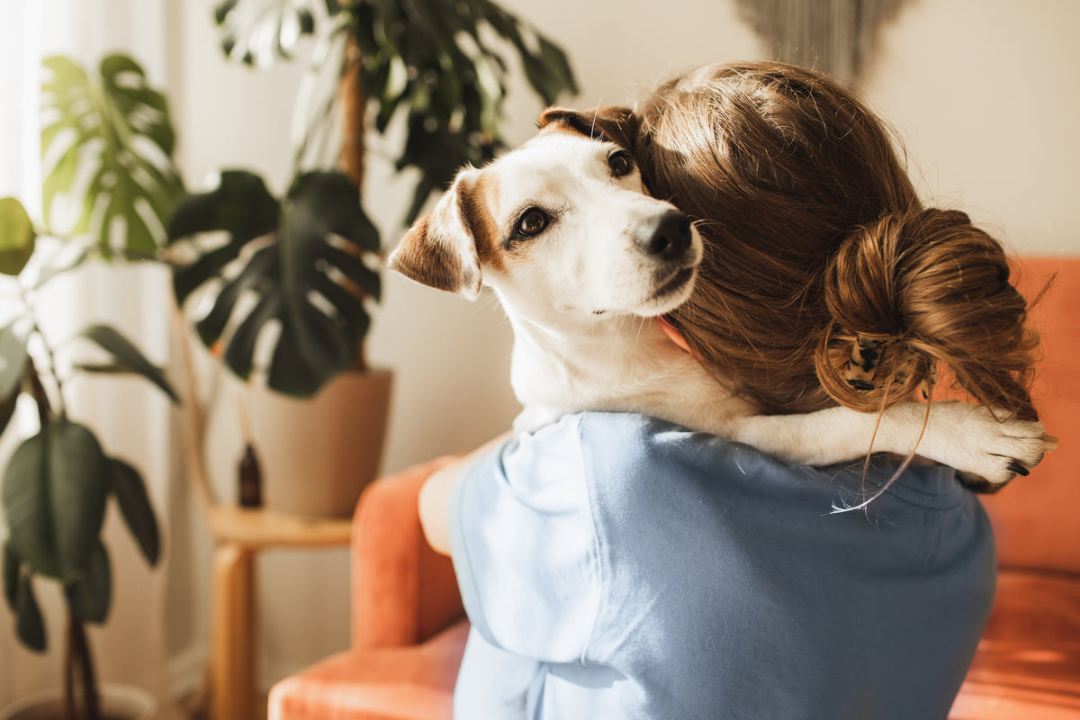 Kobieta z kokiem ma małego, biało-brązowego psa w ramionach