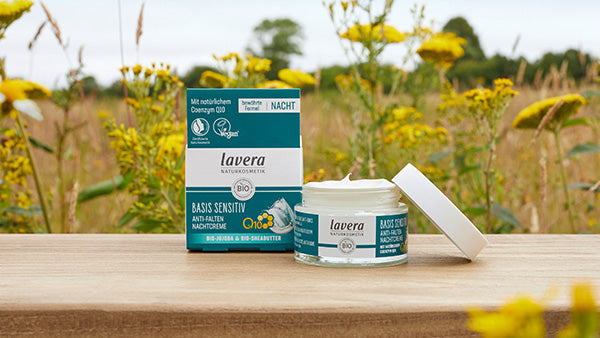basis sensitiv Anti-Falten Nachtcreme Q10