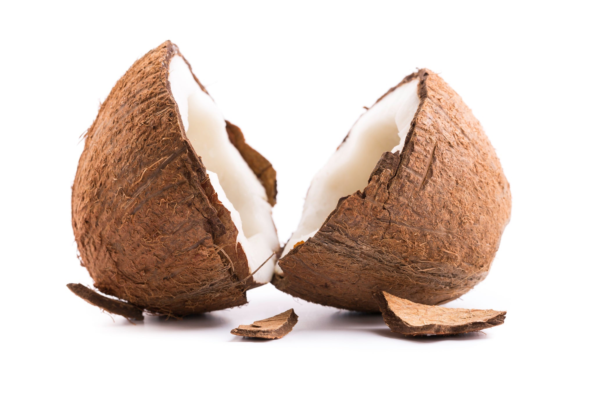 Zwei Hälften einer aufgebrochenen Kokosnuss auf weißem Hintergrund mit einigen Schalenstücken.